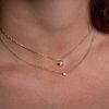 Diamond_star_necklace_on_model