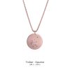 Zodiac_disc_necklace_Aquarius_rose_gold