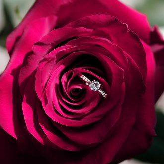 Petite_0.50_ct_diamond_engagement_ring_detail
